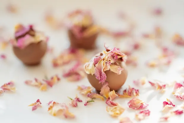 بيدالادا10 كازينو تطبيق أندرويد/آي أو إس